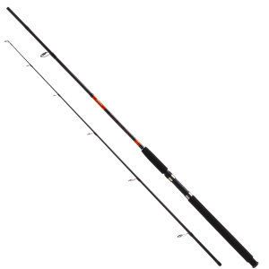Карповое удилище Feima Rage Pro Spin 150g 2.40m